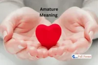 Amature Meaning – Definition – Examples – Uses