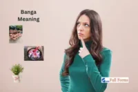 Banga Meaning – Easy Explanation From 3 Parts of the World
