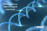 DNA Full Form RNA in English and Hindi