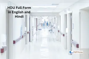 HDU Full Form in English and Hindi – Unlock the Term