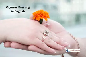 Orgasm Meaning in English – Definition, Examples and History