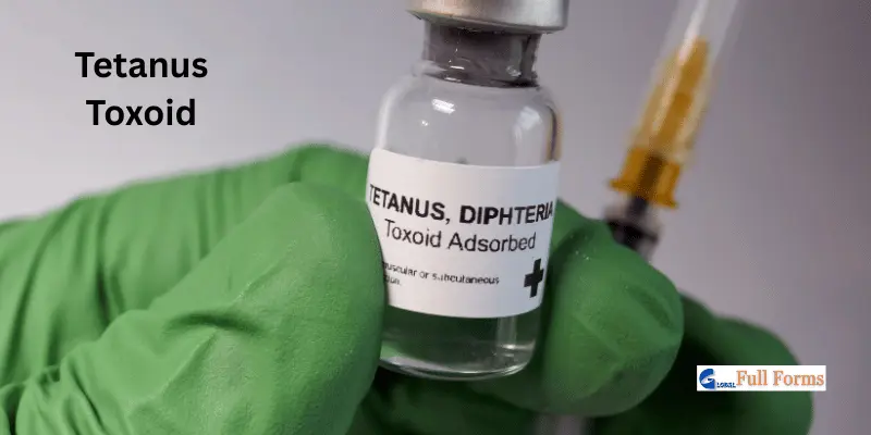 Tetanus Tetanus Toxoid